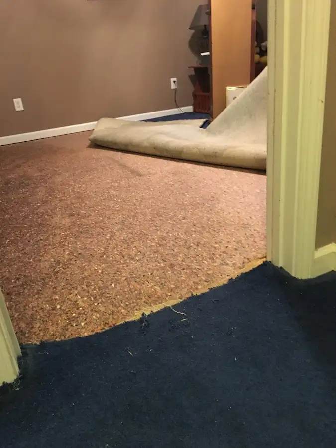 Carpet pad removal revealing water damage during Drying & Dehumidification in Lino Lakes