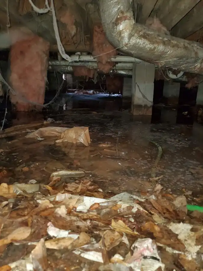 Crawl space flood assessment for Leak Detection & Repair in Lino Lakes