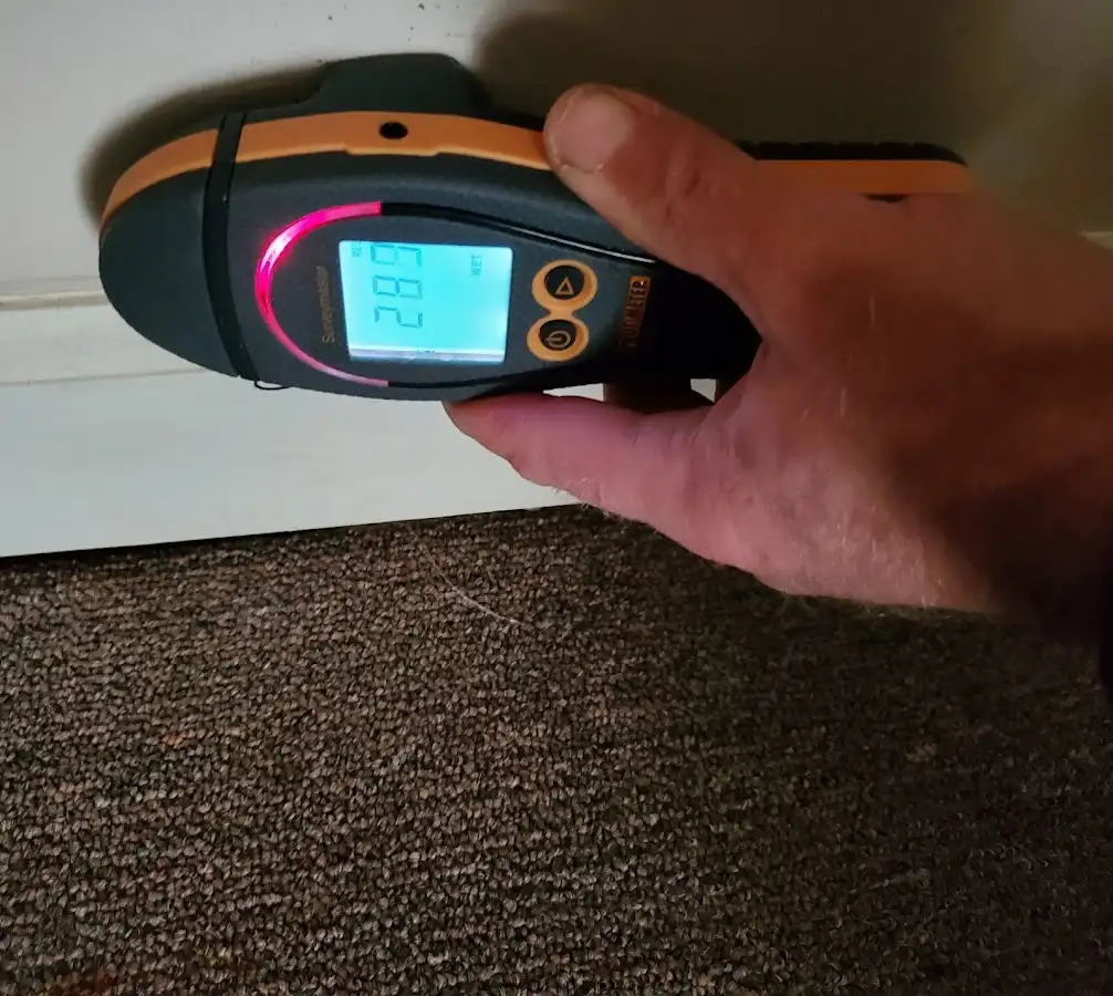 Moisture detection at baseboard during Burst Pipe Cleanup in Lino Lakes